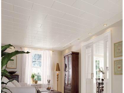 Helles Wohnzimmer mit weißer Deckenverkleidung, modernen Möbeln und großen Fenstern.